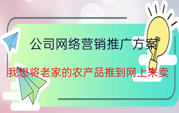 公司网络营销推广方案 我想将老家的农产品推到网上来卖，谁有好的营销方案？